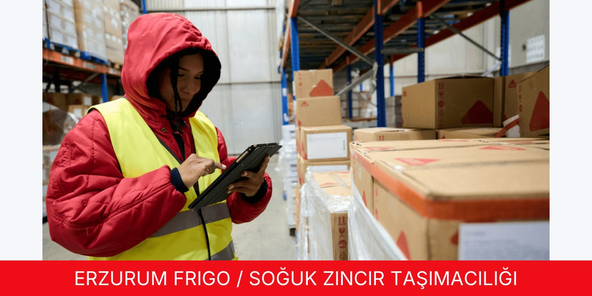 Frigo / Soğuk Zincir Taşımacılığı