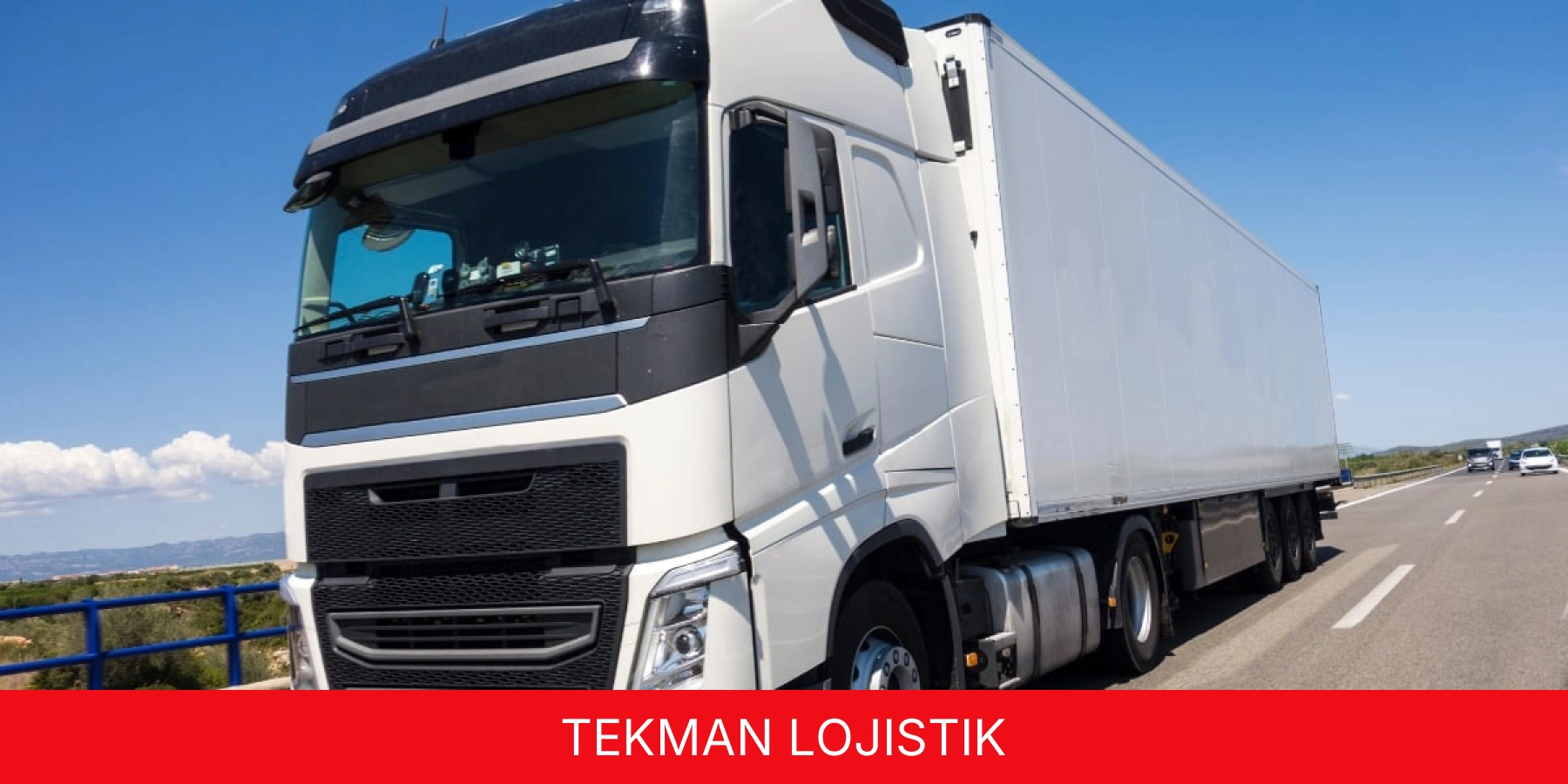Tekman Lojistik