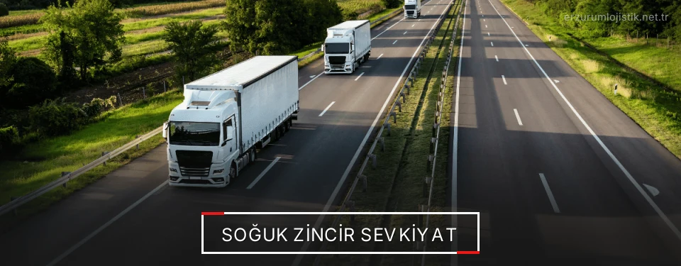 Erzurum Frigo Taşımacılık Firmaları