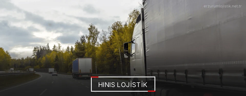 Hınıs Lojistik Kargo