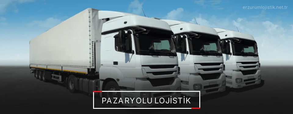 Pazaryolu Lojistik