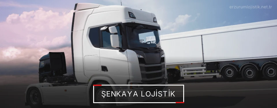 Şenkaya Lojistik Kargo