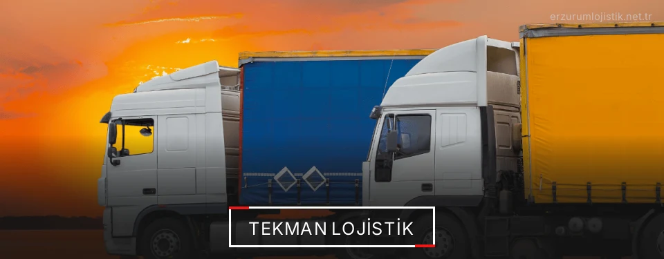 Tekman Lojistik Kargo